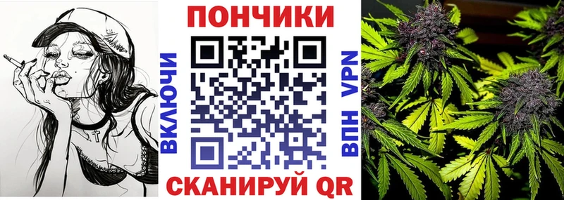 купить закладку  Анадырь  Бошки марихуана THC 21% 